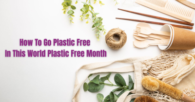 July is Plastic Free Month. Here are Three Ways You Can Help