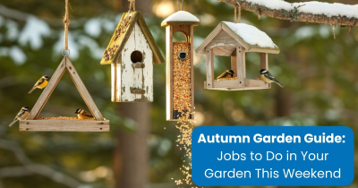 Jobs to Do in the Garden This Weekend