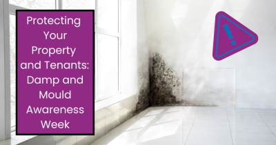 Protecting Your Property and Tenants: Damp and Mould Awareness Week