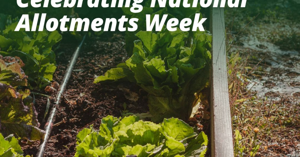 Grow to Learn: Celebrating National Allotments Week