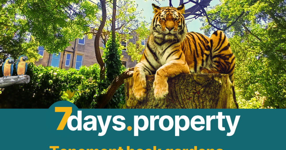 Welcome to the Jungle: What Your Back Green Needs This Autumn