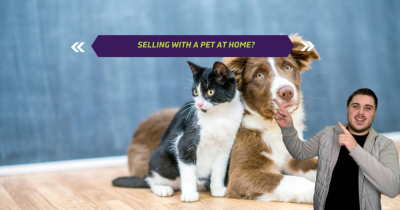 Are you a homeowner with pets and planning to sell your property?