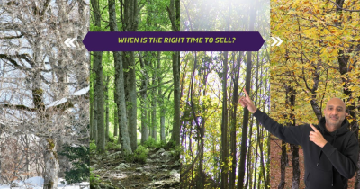 When is the best time of year to sell?