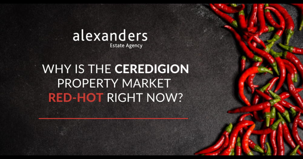Why Is The Ceredigion Property Market Red-Hot Right Now?