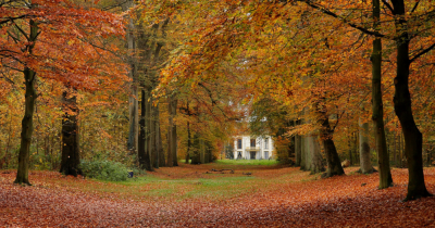 5 Reasons you should SELL in September