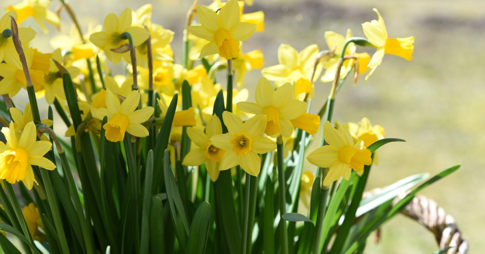 Our Top Tips for Selling Your Home Before Easter