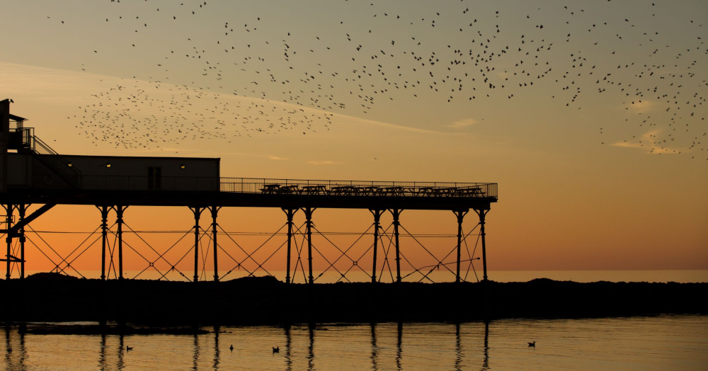 Aberystwyth Market Highlights