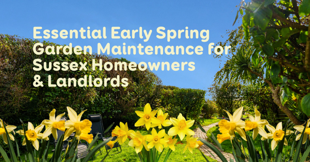 Essential Early Spring Garden Maintenance for Sussex Homeowners & Landlords