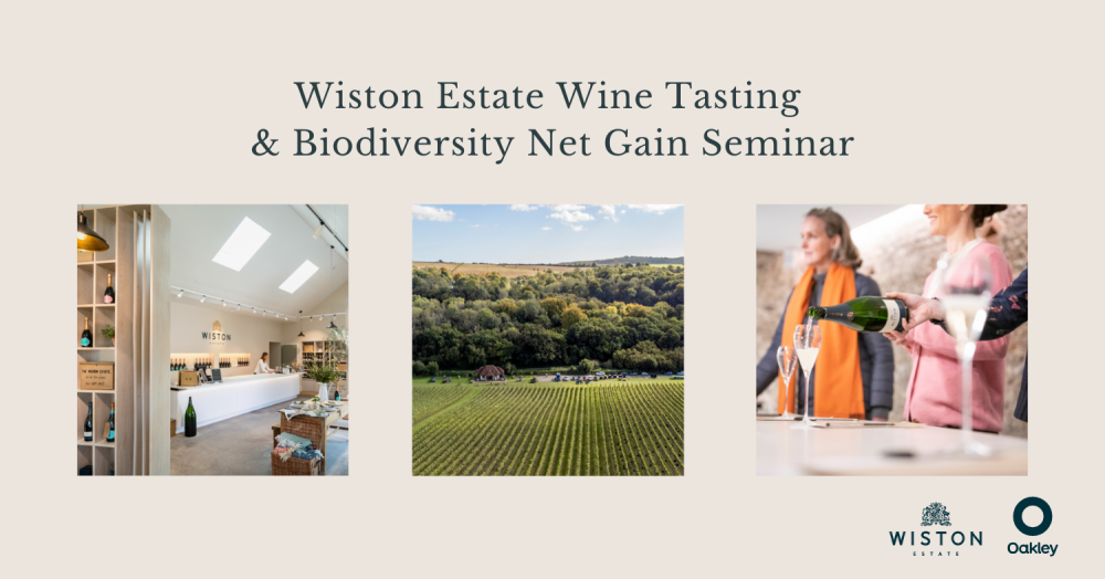 Join Us at Wiston Estate for a Wine Tasting & Biodiversity Net Gain Seminar