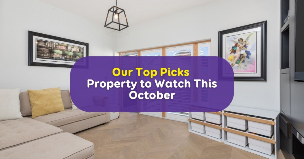 Our Team's Top Picks: Unveiling This Month's Favourite Properties!
