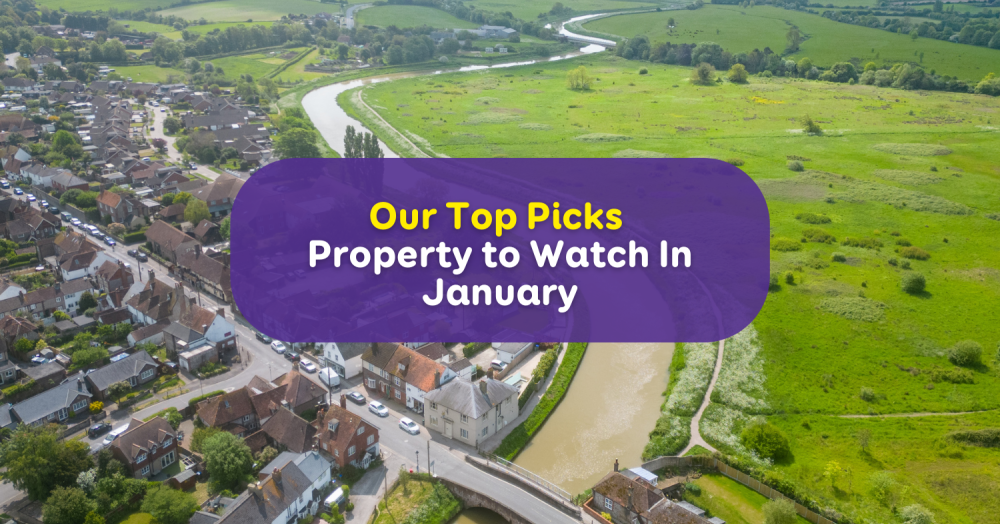 Our Team's Top Picks: Discover the Properties We're Excited About This Month!