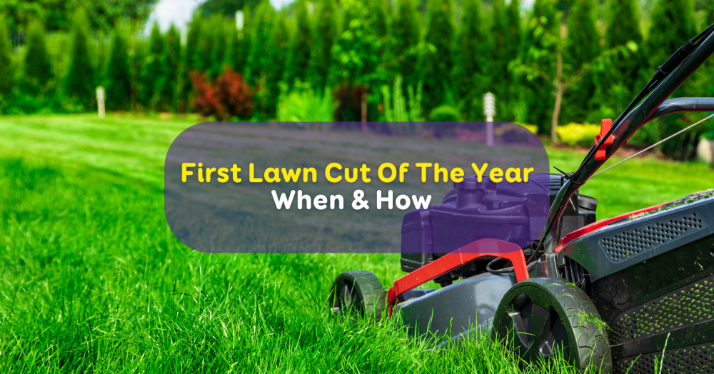 When to Tackle Your First Lawn Cut of the Year: Boosting Kerb Appeal for Spring Sales