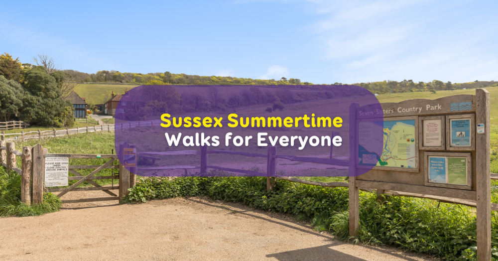 Discover Sussex: 5 Best Summertime Walks for Everyone