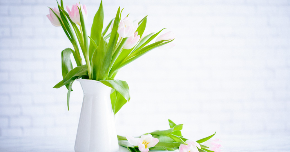 5 Ways to Spruce up Your Home this Spring