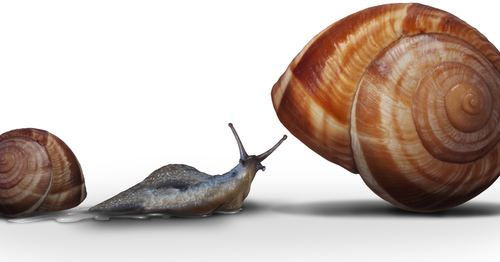 Thinking of upsizing - Our top tips to consider