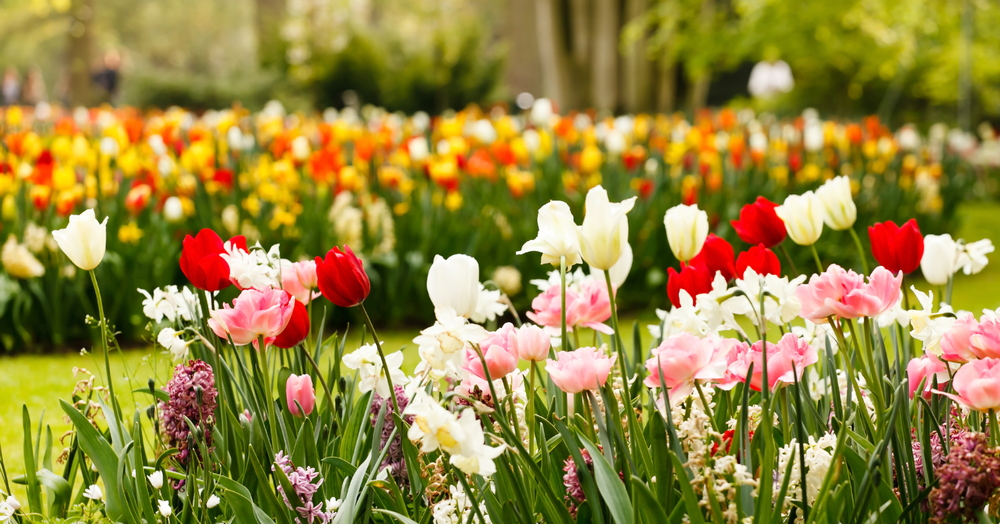 5 Tips To Keep Your Garden Looking Great This Spring & Summer