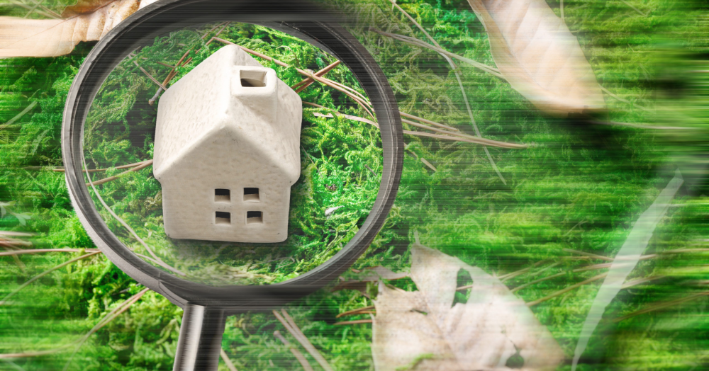 3 Key Things To Look For When Viewing A Property For Sale In Nuneaton