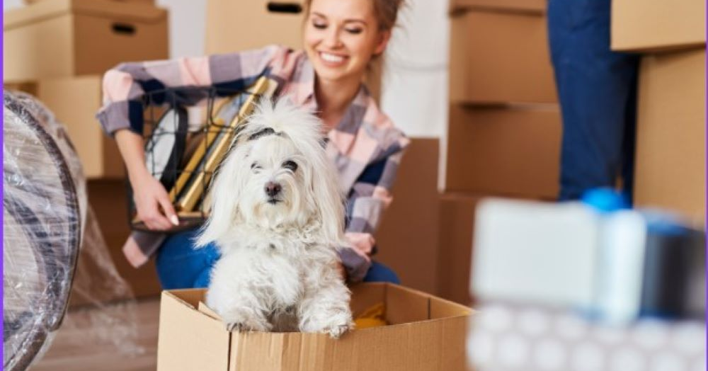 Selling Your Home With Pets