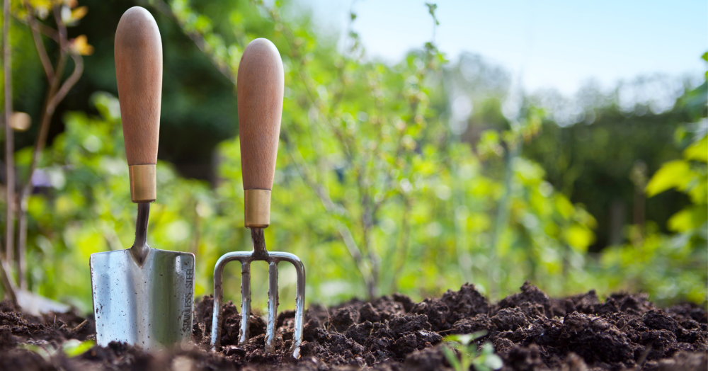 Maximising Your Home's Appeal: Selling in Summer with a Blooming Garden