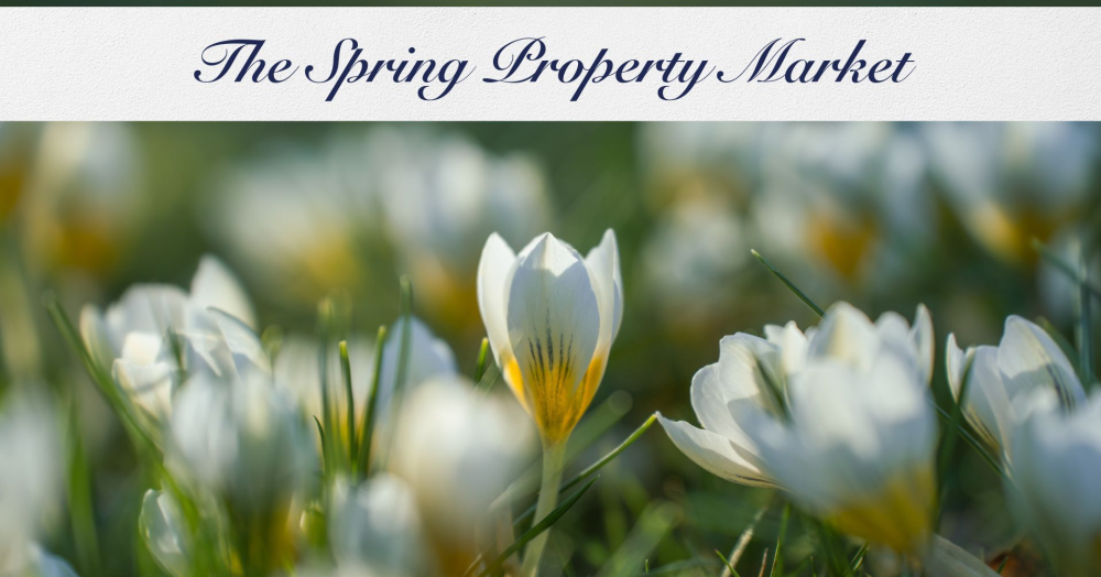 Spring Forward: Why Spring Is the Perfect Time to Sell Your Home
