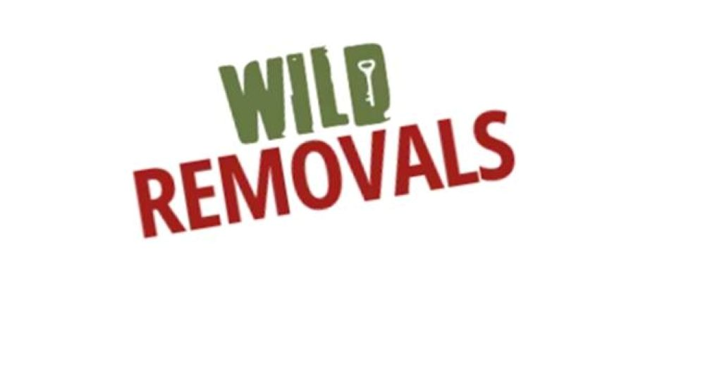 🌟 Our Business of the Month 🌟