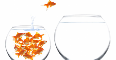 Growing family, need more space?