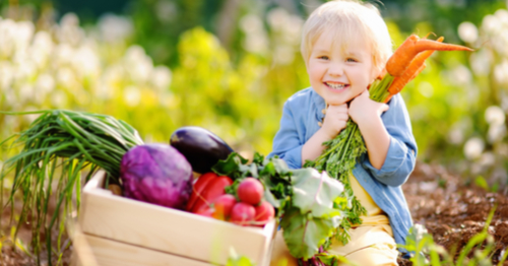 The beginners guide for growing your own food at home