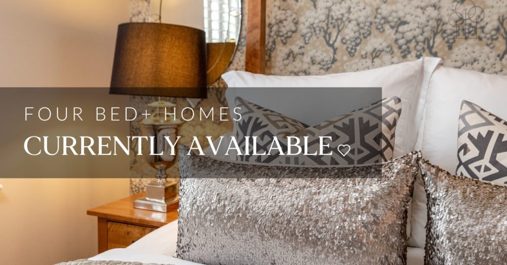 Looking for a Four-Bedroom+ Home? Here’s Your Chance!