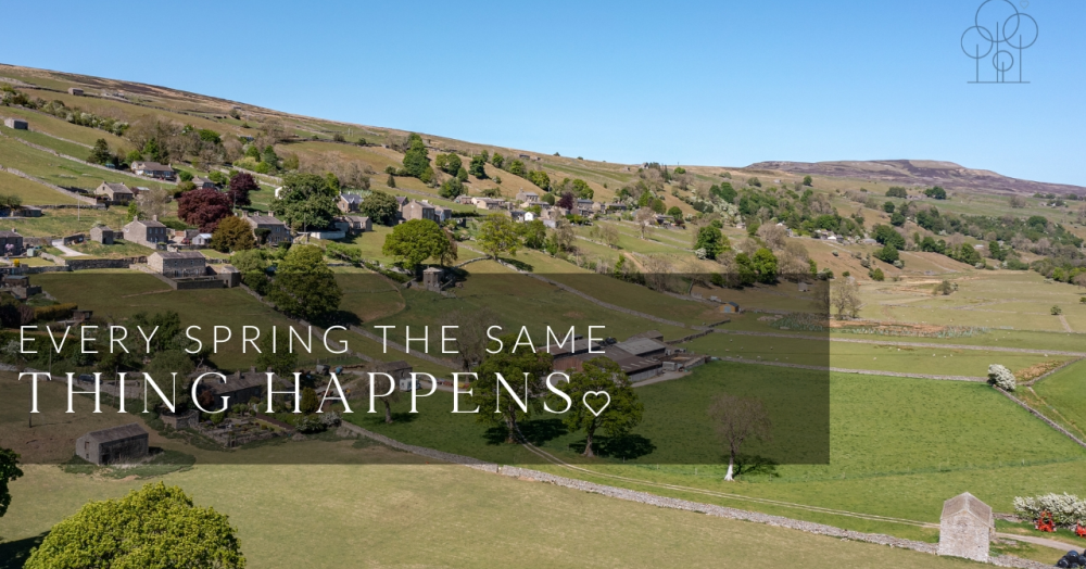 Every spring, the same thing happens...