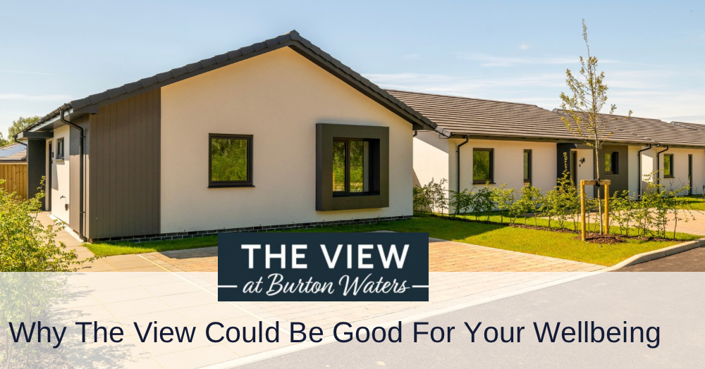 Why ‘The View’ Could Be Good for Your Wellbeing