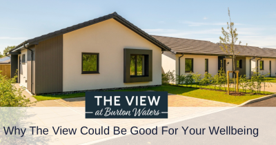 Why ‘The View’ Could Be Good for Your Wellbeing