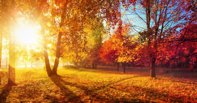 September in the Garden: What to Do Now