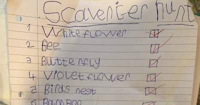 🌳 🦋 🐝 Spring time scavenger hunt! 🍃 🕷 🦊