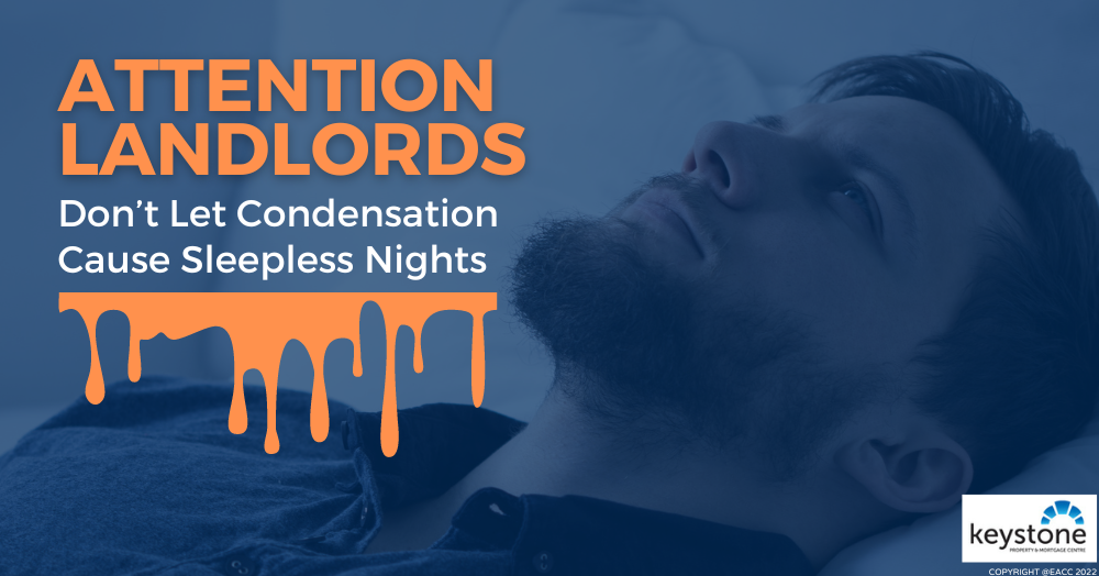 How to Stop Condensation Becoming a BIG Problem