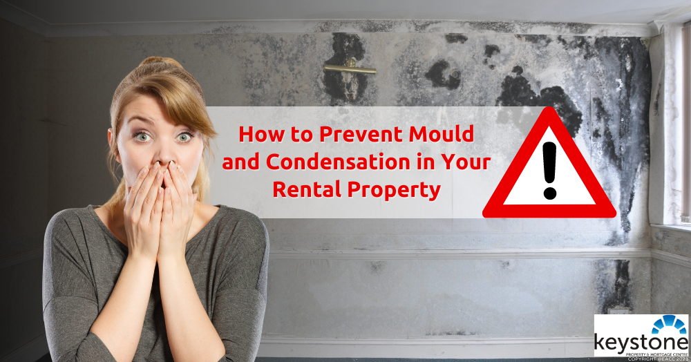 How Landlords Can Beat Condensation and Mould