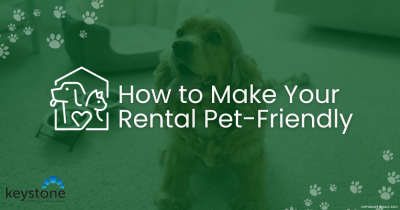 How to Be a Pet-Friendly Landlord in Flintshire
