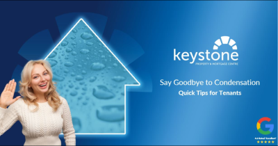 Seven Simple Steps for Flintshire Tenants to Combat Mould and Condensation