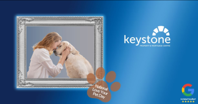 Pet Power: Four Amazing Stories for Flintshire Animal Lovers