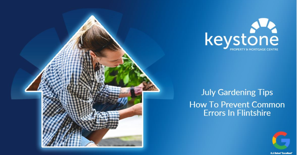 Avoid These Five Common Gardening Mistakes in Flintshire This July 🌻