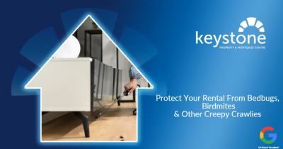 The Pests to Look Out for at Your Flintshire's Rental Property 🪲