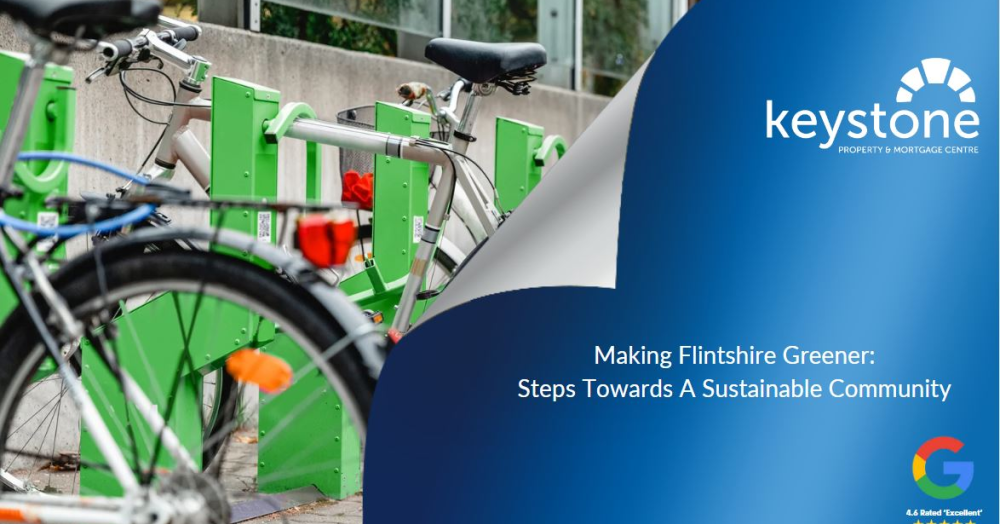 Transforming Flintshire into an Eco-Friendly Community ✔️