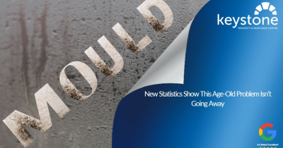 Tackling Mould in a Rental: What Flintshire Tenants and Landlords Need to Know ☠️