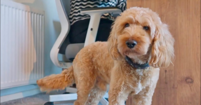 🏡 The Keystone Way: Selling Your Home, Made Simple! 🎬