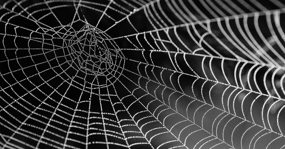 The Dark Secrets About Estate Agency Contracts: Why Lengthy Agency Contracts Could Be Costing You