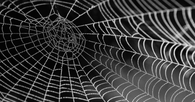 The Dark Secrets About Estate Agency Contracts: Why Lengthy Agency Contracts Could Be Costing You