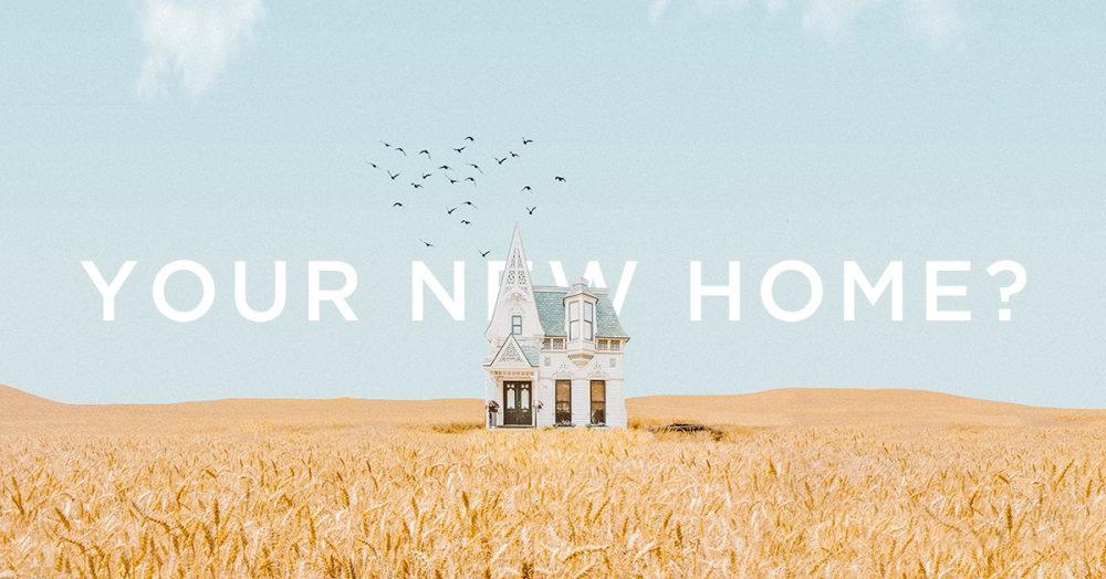 Your local Buying Agent.