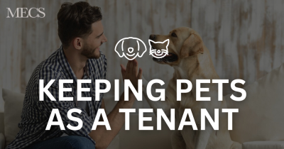 Renting with Pets: Landlord Policies and Tips for Pet-Friendly Properties in the UK