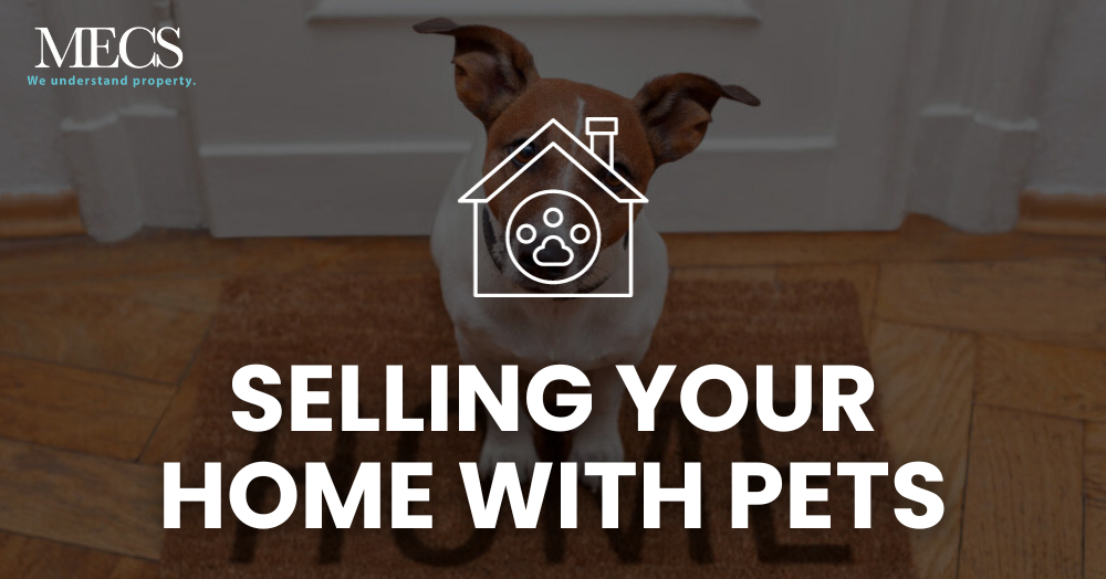 Selling Your Home with Pets: How to Minimise Their Impact