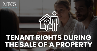 What to Do if Your Landlord Sells the Property: Tenant Rights and Options