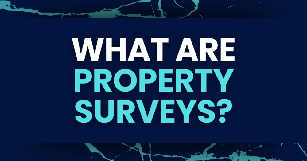 Everything You Need to Know About Property Surveys